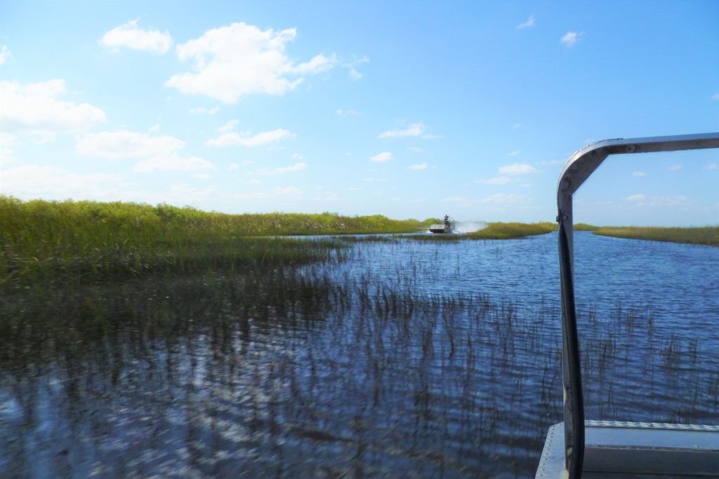 Everglades Florida