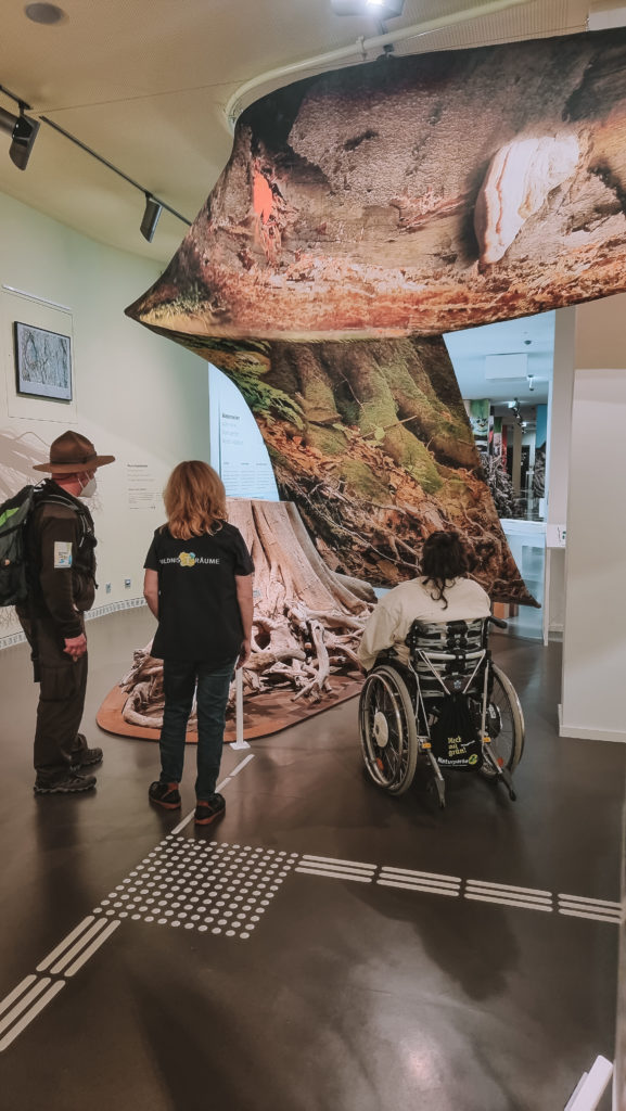 Nationalpark Eifel mit Rollstuhl