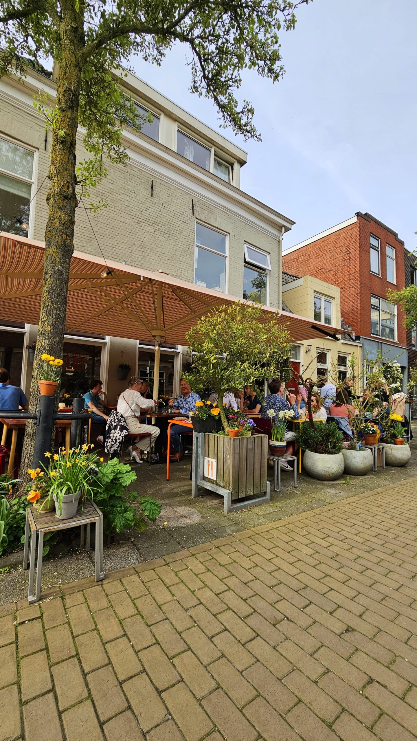 Café Lilly Groningen