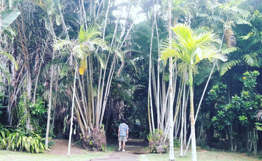 SIR SEEWOOSAGUR RAMGOOLAM BOTANICAL GARDEN